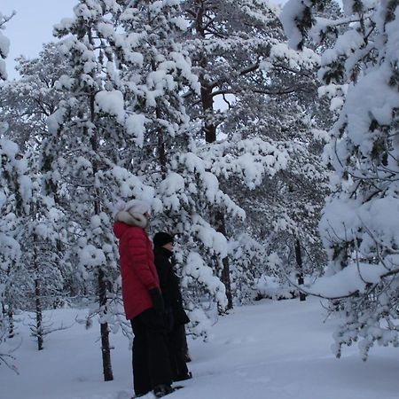 Studio Kaarto Rovaniemi Kültér fotó