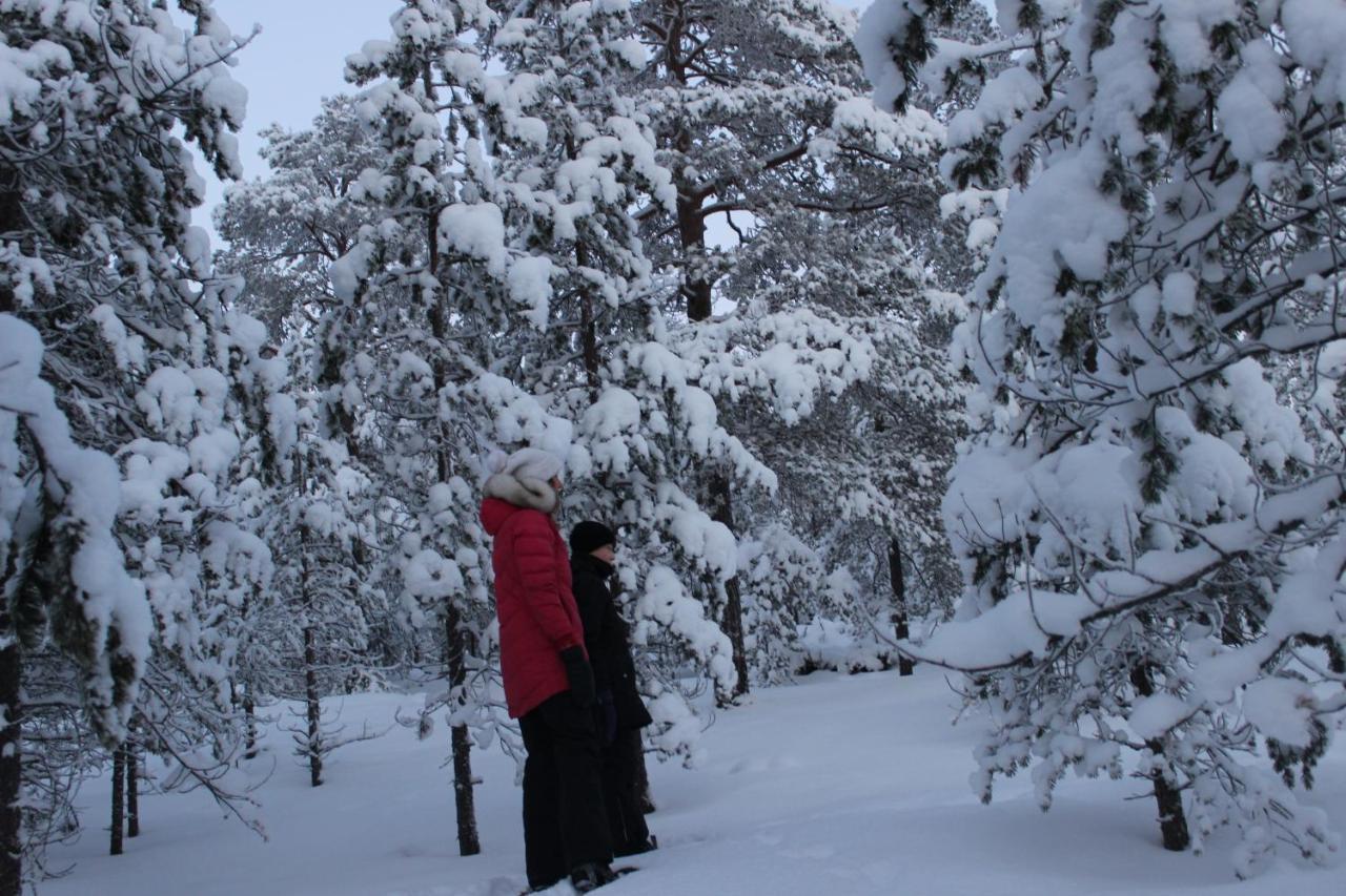 Studio Kaarto Rovaniemi Kültér fotó